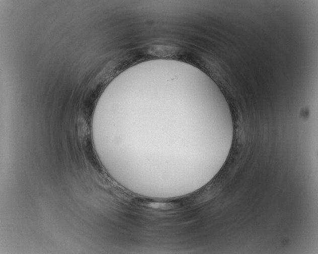 X0000115540371200911061155