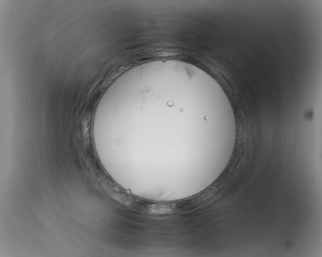 X0000115540373200911061155