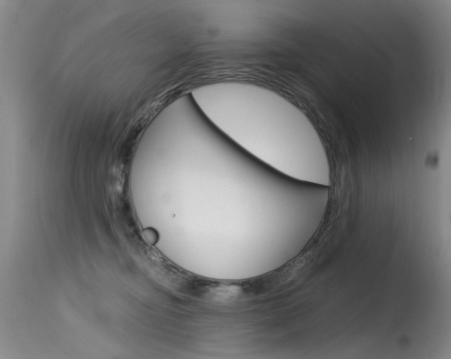 X0000115540374200911061155