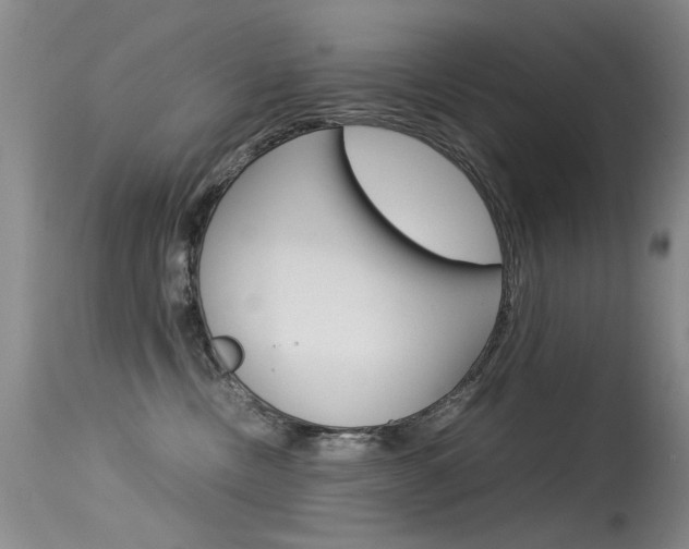 X0000115540378200911061155