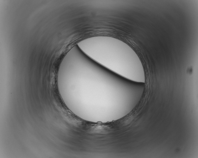 X0000115540379200911061155