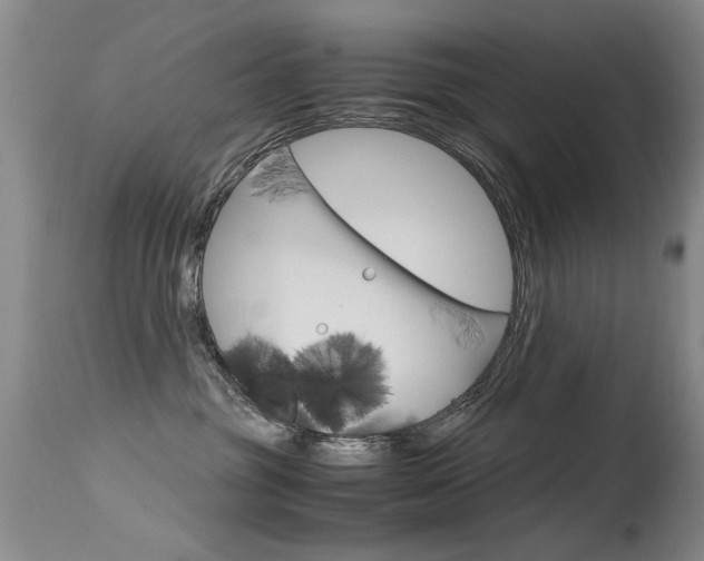 X0000115540381200911061155