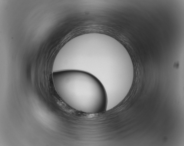 X0000115540382200911061156