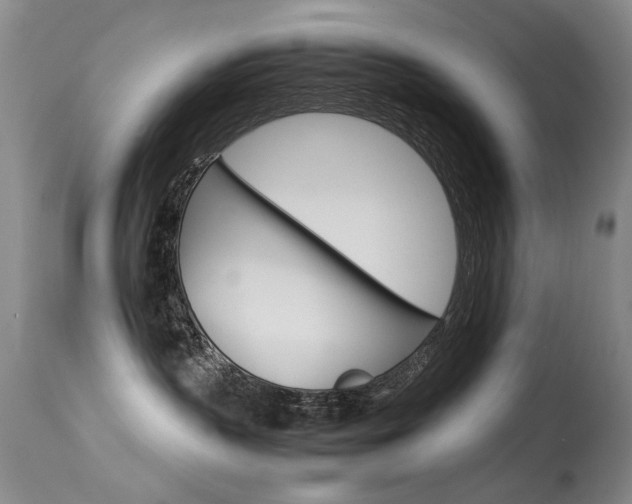 X0000115540383200911061156