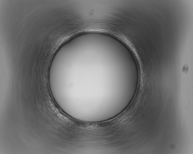 X0000115540385200911061155