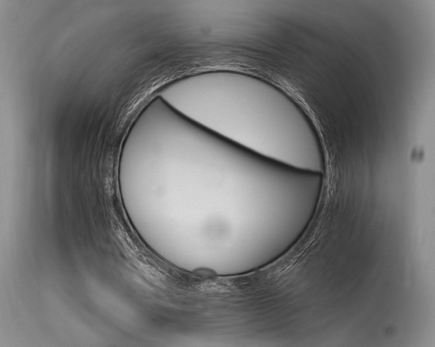 X0000115540386200911061155