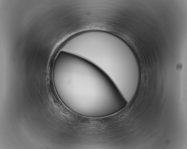 X0000115540388200911061155