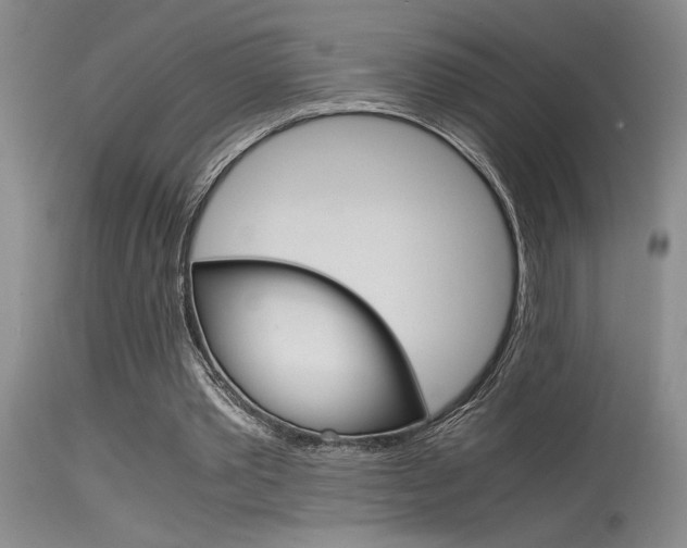 X0000115540389200911061155