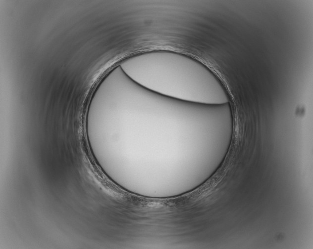 X0000115540390200911061155