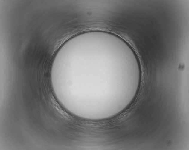 X0000115540393200911061155