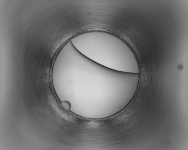 X0000115540394200911061155