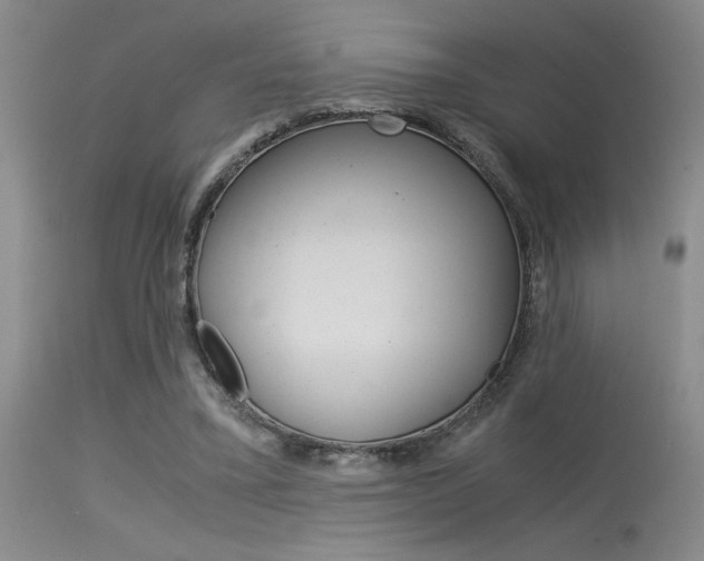 X0000115540395200911061155