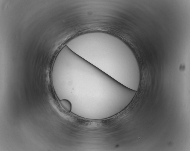 X0000115540398200911061155