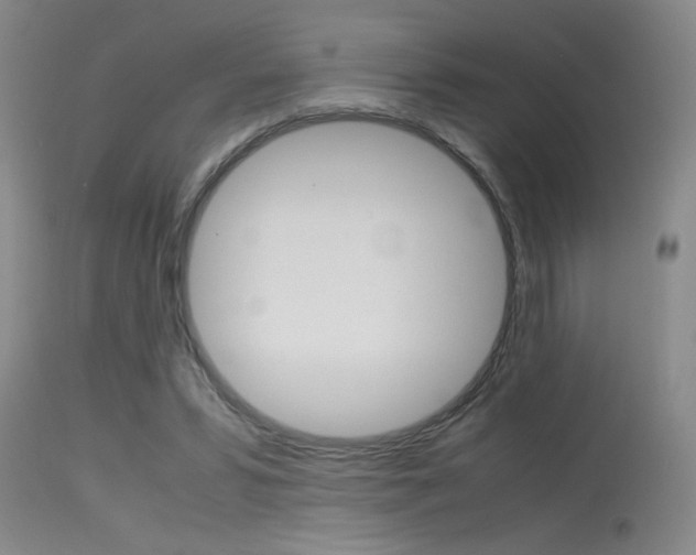 X0000115540399200911061154