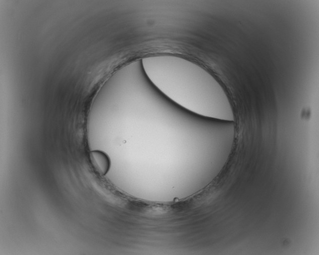 X0000115540402200911061154