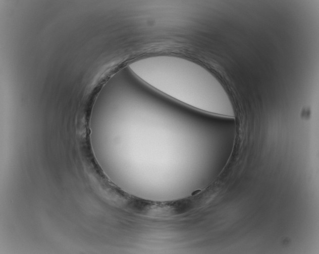 X0000115540403200911061154