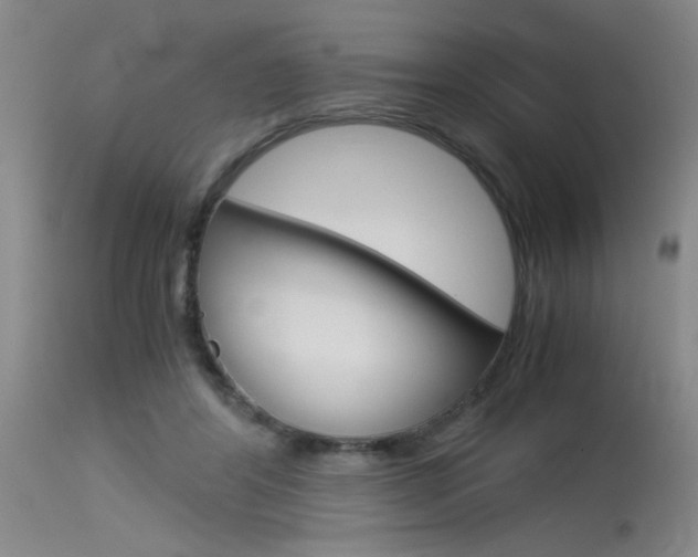 X0000115540404200911061154