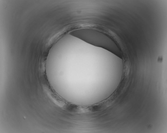 X0000115540405200911061154