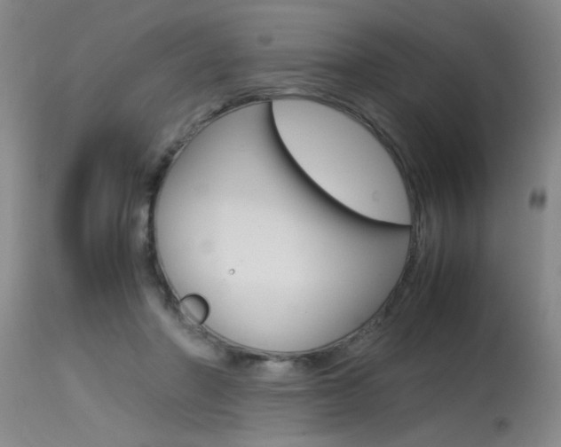 X0000115540406200911061154