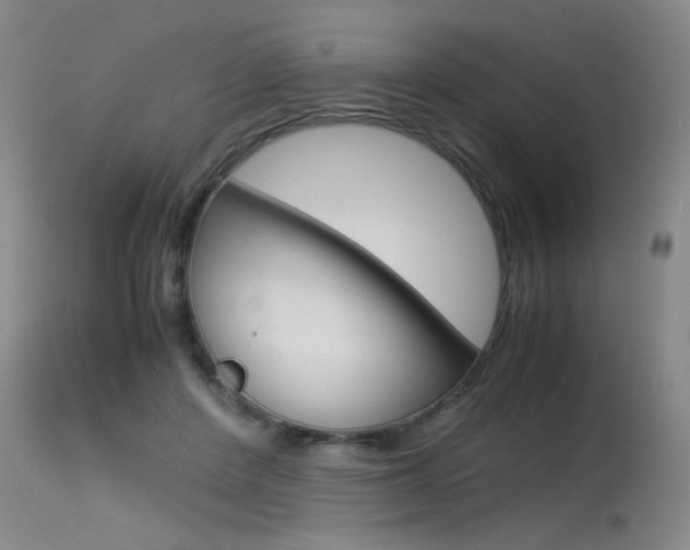 X0000115540408200911061154