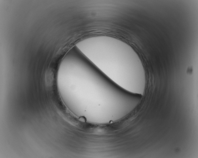 X0000115540412200911061154