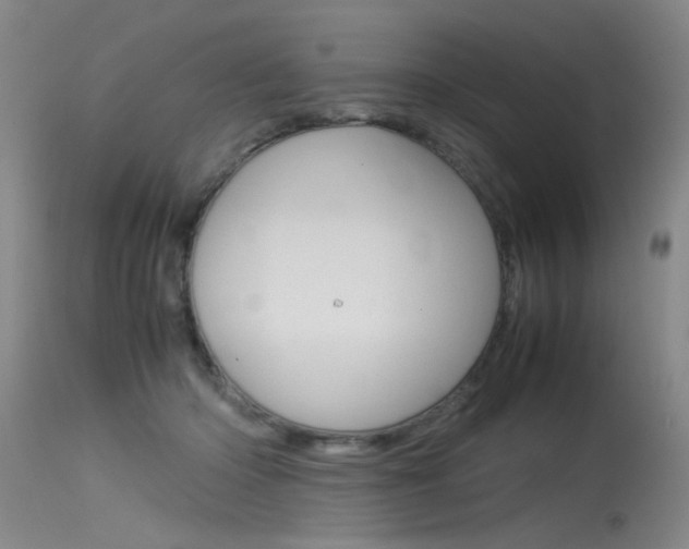 X0000115540414200911061154