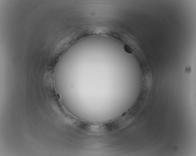 X0000115540415200911061154