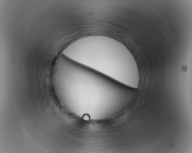 X0000115540416200911061154