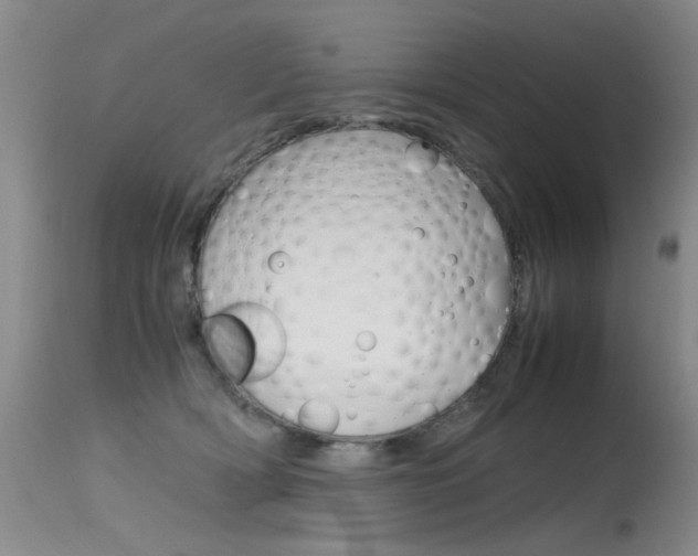 X0000115540418200911061154