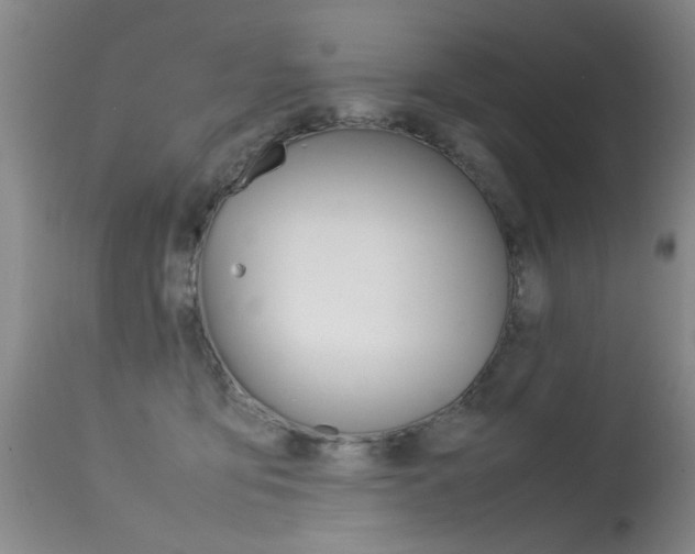 X0000115540419200911061154