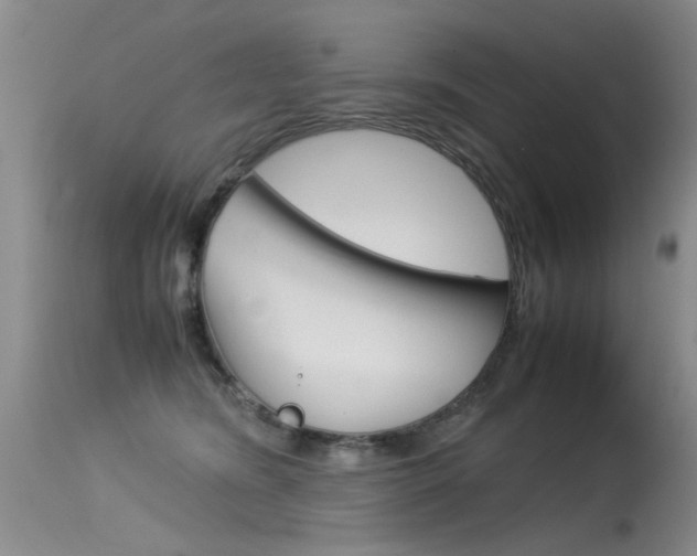 X0000115540420200911061154