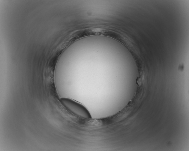 X0000115540421200911061154