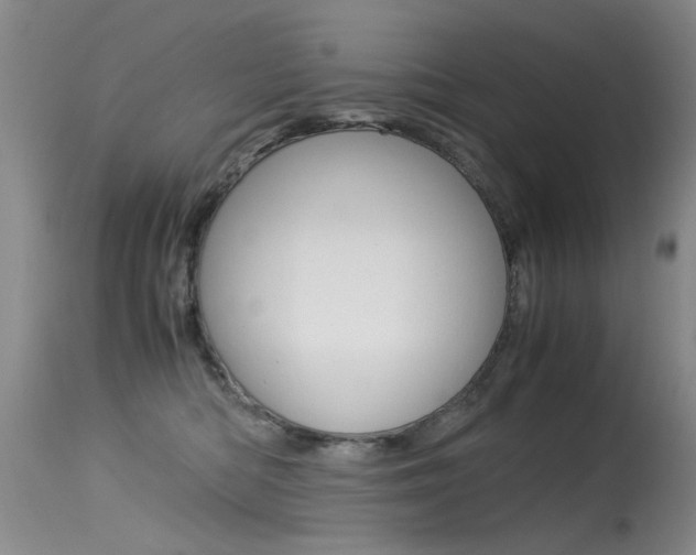 X0000115540422200911061154