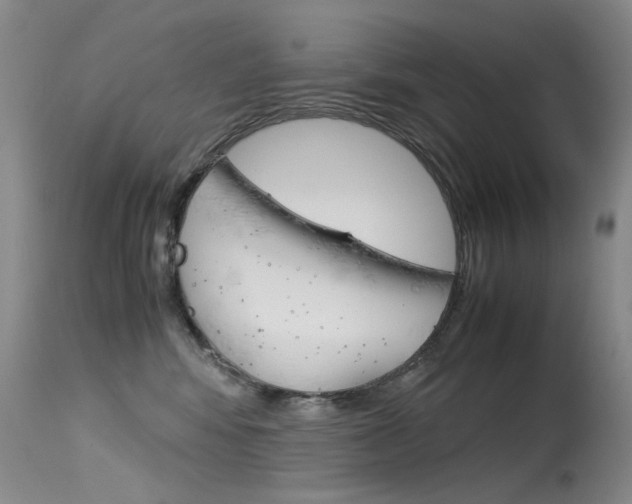 X0000115540424200911061154