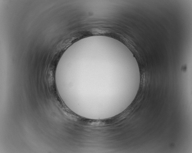 X0000115540426200911061154