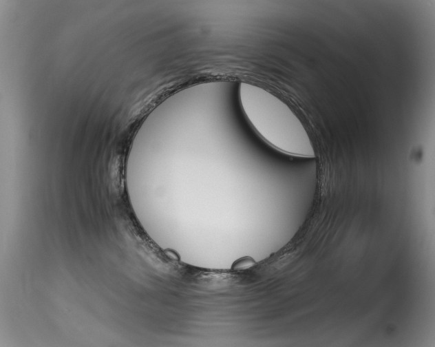 X0000115540428200911061154