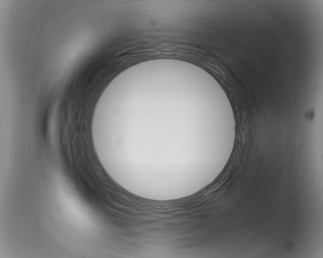 X0000115540429200911061154