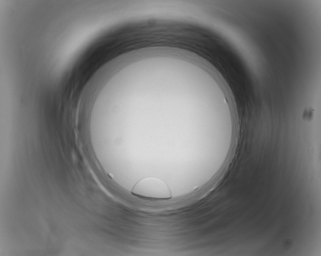 X0000115540431200911061154