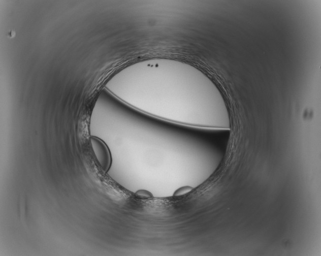 X0000115540432200911061154