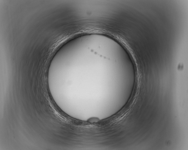 X0000115540433200911061153