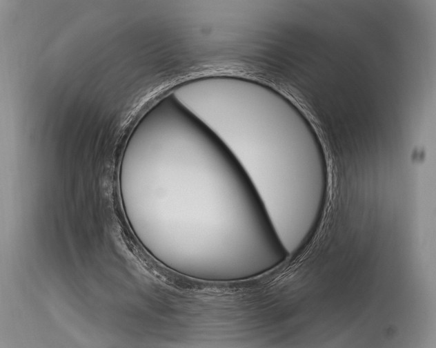 X0000115540434200911061153