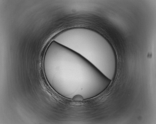 X0000115540435200911061153