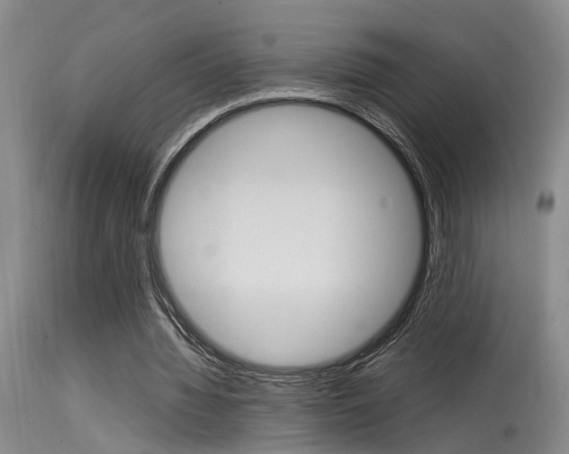 X0000115540436200911061153