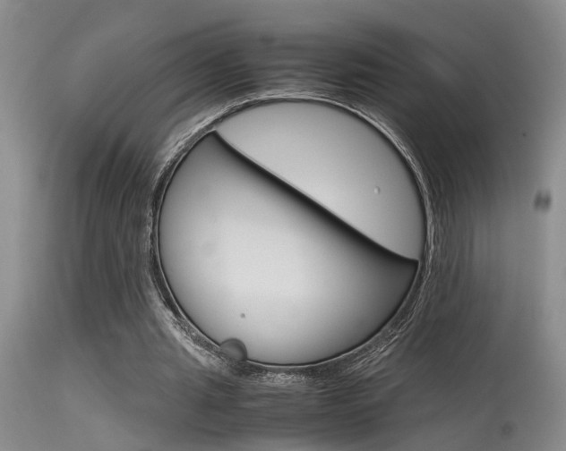 X0000115540437200911061153