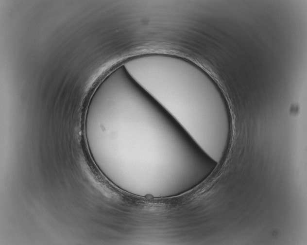 X0000115540438200911061153