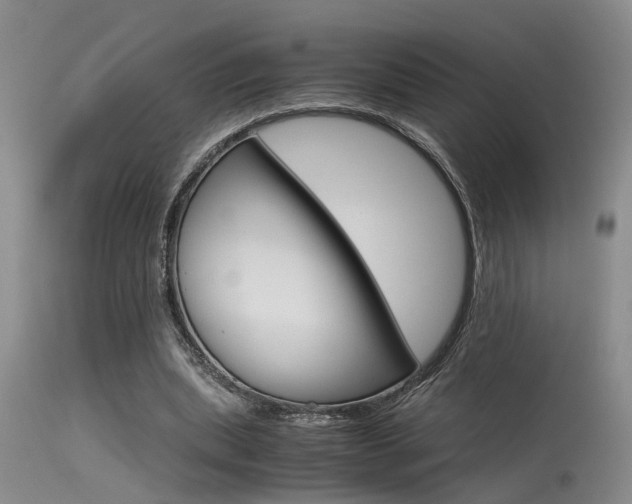 X0000115540439200911061153