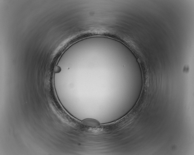 X0000115540440200911061153