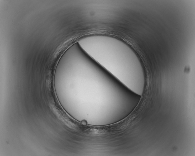 X0000115540442200911061153