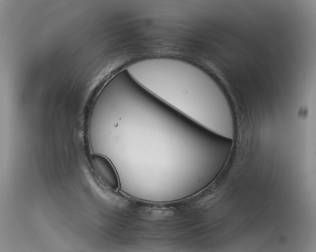 X0000115540443200911061154