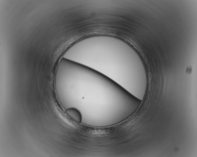 X0000115540445200911061154